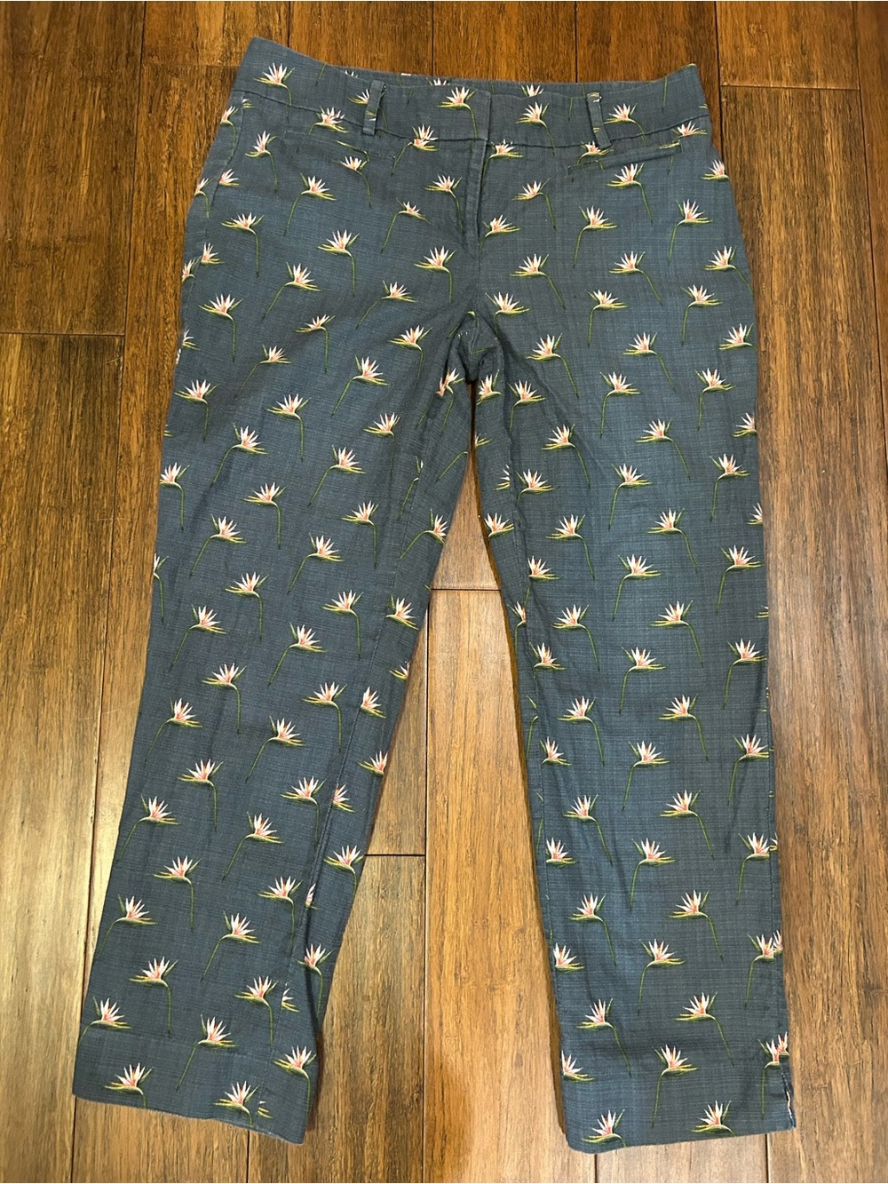 Ann Taylor Devin Fit ankle trousers bird of paradise flow Flower Print sz 4